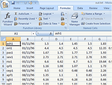 Microsoft Office 2007