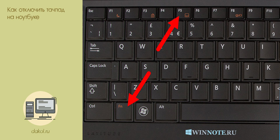 отключить, тачпад, ноутбуке, отключить тачпад, отключения тачпада, ASUS Lenovo
