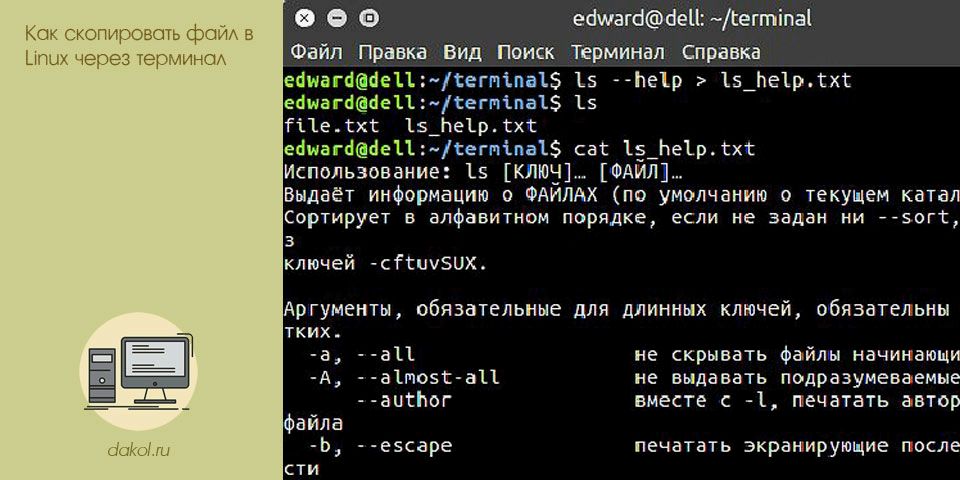 скопировать, файл, linux, терминал, folder newfolder, Например того