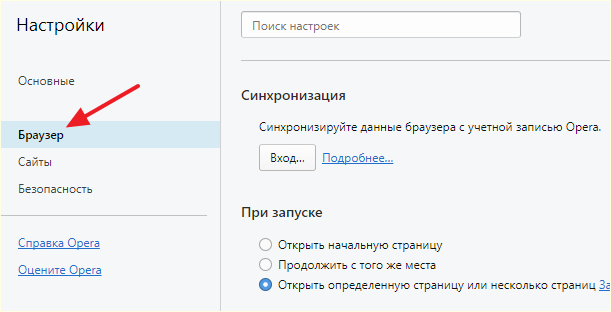 раздел настроек Браузер
