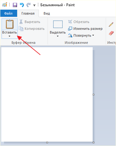 вставка скриншота в программу Paint