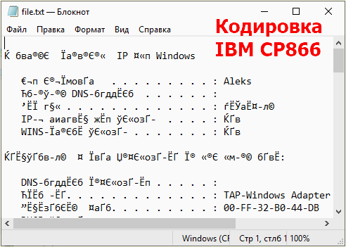 IBM CP866